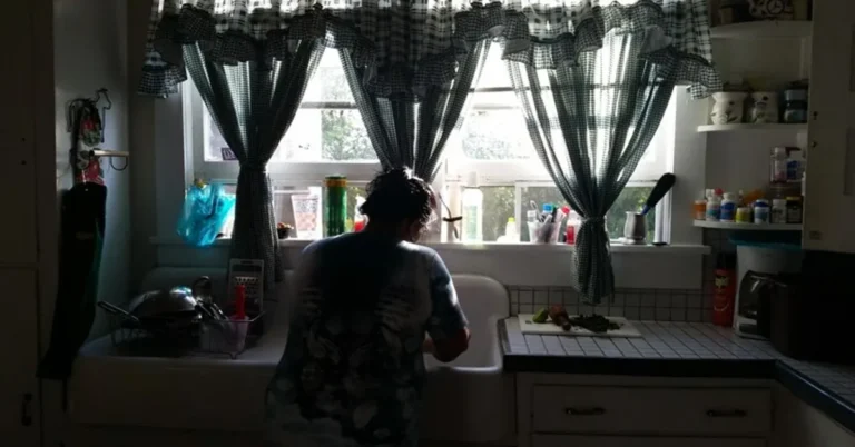 Housemaid Is Watching