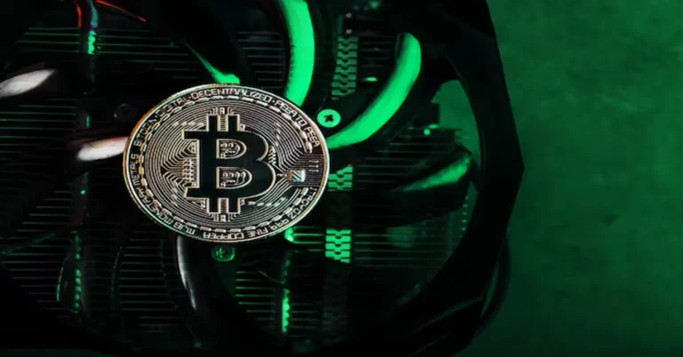 Crypto30x.com Gigachad