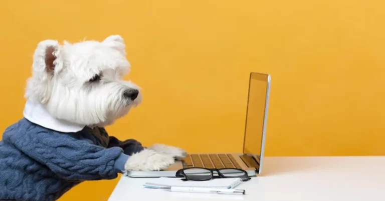 Dog Memes